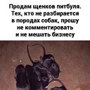 ���� ��������, ������ - ��������� 17 ���� 2020 � ������ ���� � ������