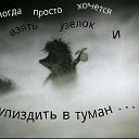 ���� ����, ����-�����������, 47 ��� - ��������� 24 ���� 2020 � ������ ���� ����������