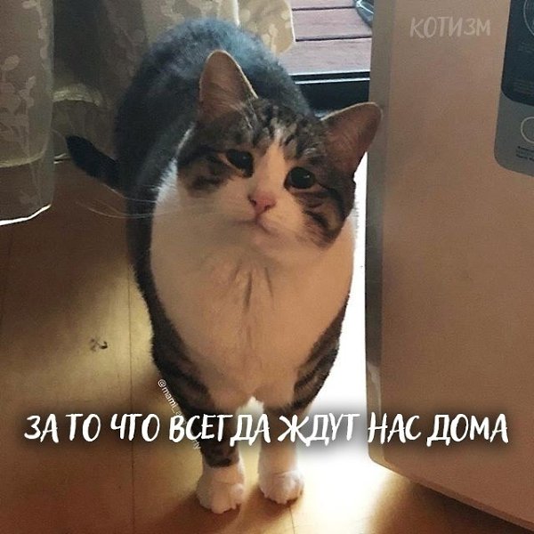       ? - 9