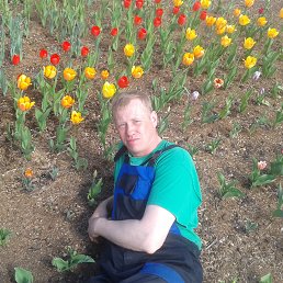 ������, ��������, 48 ���