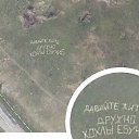  ,  , 51  -  20  2020    