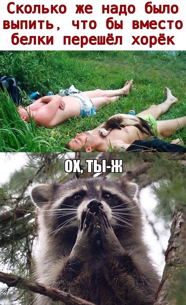  - 10  2020  18:40