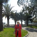 ���� �����, ������ - ��������� 13 ������ 2020 � ������ ������ ��������