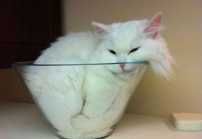  :   ,     - 3