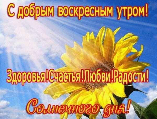  ! *HELLO*