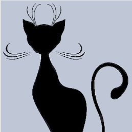 ����, ����