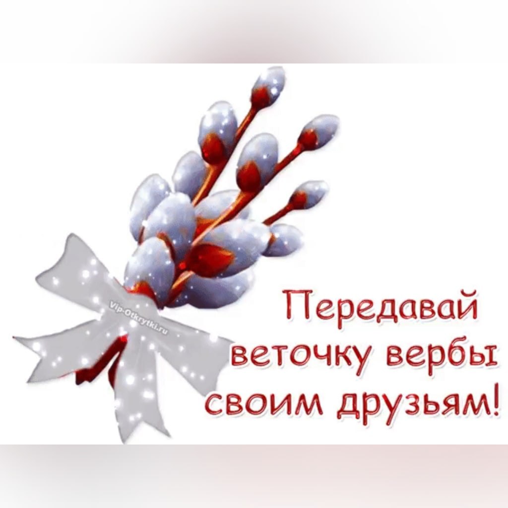 ПРИВЕТСТВИЯ и ПОЖЕЛАНИЯ, открытки на каждый день. опубликовал пост от 11  апреля 2020 в 17:46 | Фотострана | Пост №2140276600