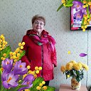 ���� ���������, ������ - ��������� 5 ��� 2020 � ������ ���� ����������