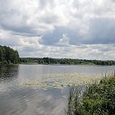 ���� ����, ������, 46 ��� - ��������� 29 ���� 2020 � ������ ���� ����������