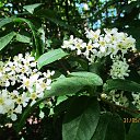 ���� ��������, Kouvola, 78 ��� - ��������� 2 ���� 2020 � ������ ������