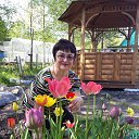 ���� ��������, ����������� - ��������� 15 ���� 2020 � ������ ���� ����������