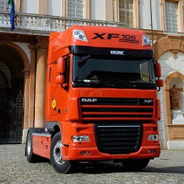 �������, �����-��������, 41 ���