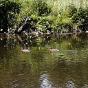 ���� �������, ������������ - ��������� 6 ���� 2020 � ������ ���� ����������