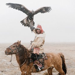 ������, ������ ��������