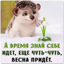  , , 55  -  12  2020    