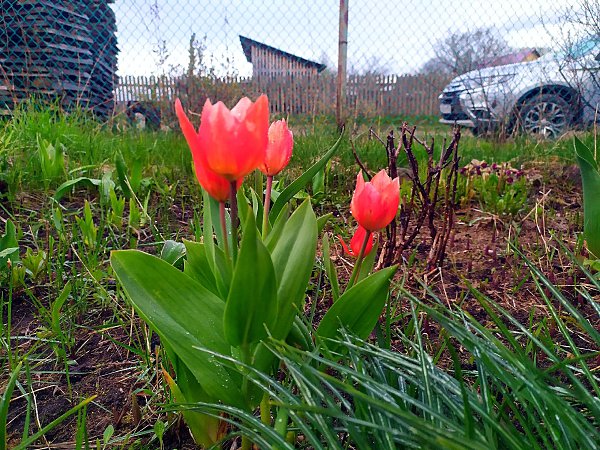   - 17  2020  21:02 - 2