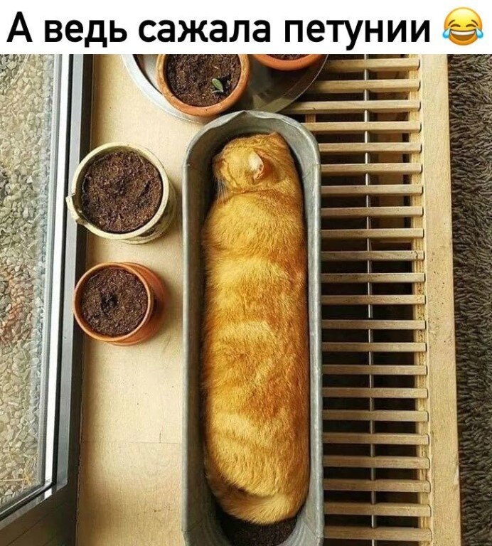 ☆ ☆ - 12  2020  19:08