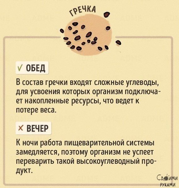 Правильное время для употребления продуктов На заметку.