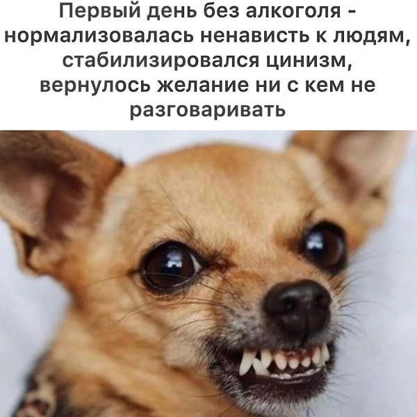 ***Victoria Viktorovna*** - 5  2020  04:59