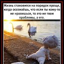 ���� ��������, �����, 47 ��� - ��������� 24 ���� 2020 � ������ ���� ����������