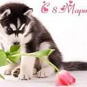 ���� Aleks, �����������, 65 ��� - ��������� 8 ����� 2020 � ������ ������ ��������