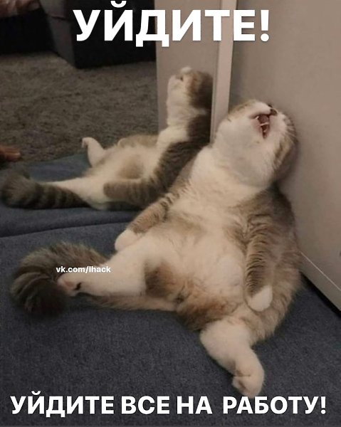 ������� - 19 ������ 2020 � 18:27