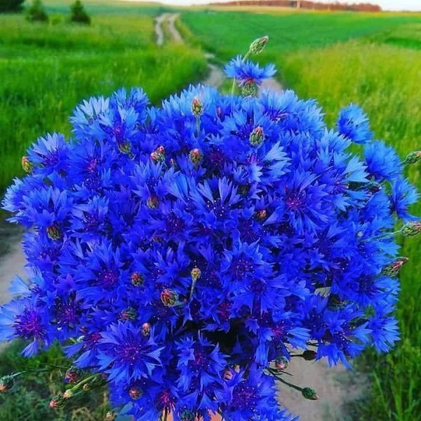  - 23  2020  21:28 - 2