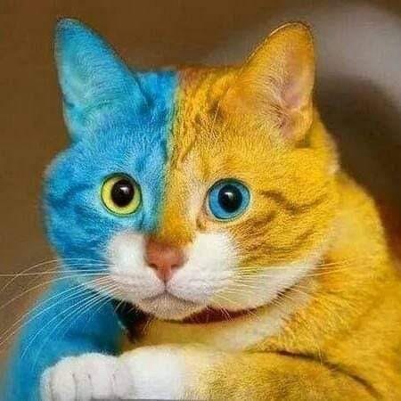 Igor Climenko - 7 ��� 2020 � 23:16