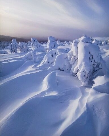   ee,  - 5