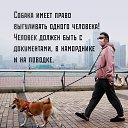 ���� ���������, ������-��-����, 50 ��� - ��������� 18 ������ 2020