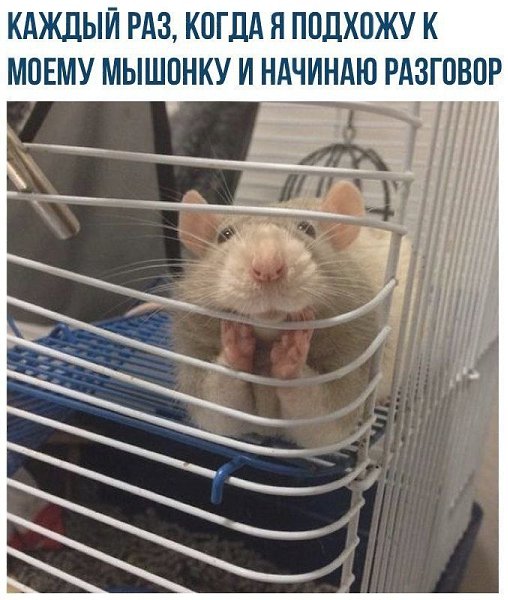 ����� ����� ����������