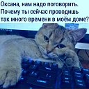 ���� ����, �����-��������� - ��������� 2 ������ 2020 � ������ ������ ��������