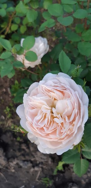  ******** - 28  2020  12:57 - 2