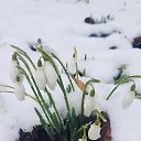 ���� Svetlana, ���������, 54 ���� - ��������� 26 ������� 2020 � ������ ���� ����������
