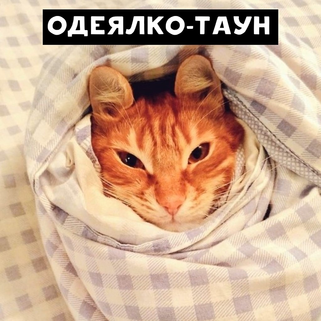       - 2