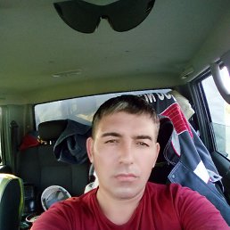 , 41, 