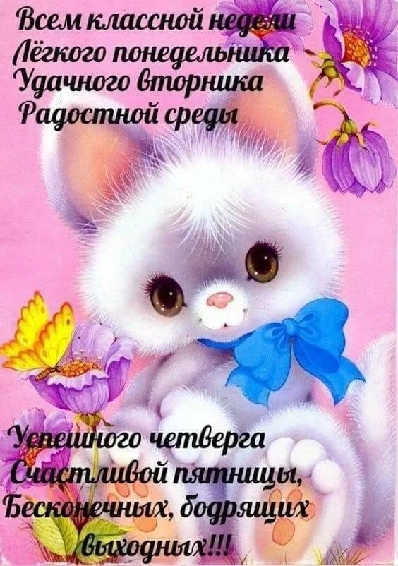   ,    . - 11  2020  16:34 - 2