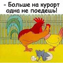 ���� ������, ��������� - ��������� 7 ����� 2020 � ������ ������ ��������