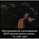 ���� ����������, ������� - ��������� 23 ��� 2020 � ������ ���� ����������