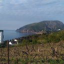 ,,,  -,01.05.20.7.00.    2020