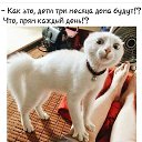 ���� ����, ������� - ��������� 13 ������� 2020 � ������ �������
