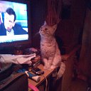 ���� �����, ����� - ��������� 1 ����� 2020 � ������ ������ ��������