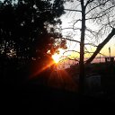 ,.,,17.04.20.6.03.   2020