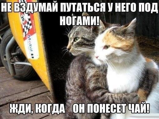    - 23  2020  19:03