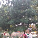 ���� ����, �������, 44 ���� - ��������� 29 ���� 2020 � ������ ���� ����������