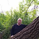 ���� Mitea, �����, 72 ���� - ��������� 1 ���� 2020 � ������ ���� ����������