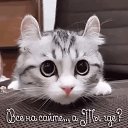 ���� �� �������� ������ ����, ������ - ��������� 14 ������� 2020 � ������ ���� ����������