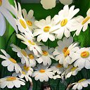 ���� Liydmila, ������ - ��������� 12 ���� 2020 � ������ ���� ����������