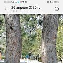 ���� �������, ����� - ��������� 30 ������ 2020 � ������ ���� ����������