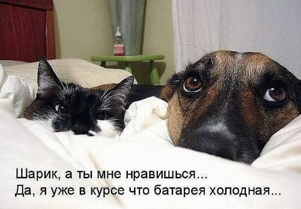 Улыбнись - 3 июня 2020 в 07:49